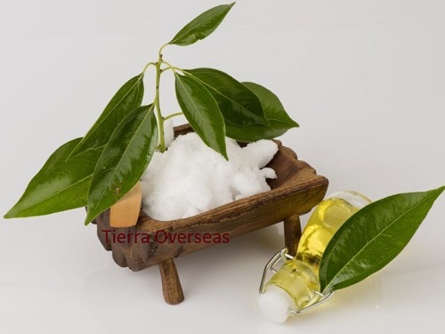 Camphor Oil Grade: A