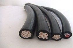 Industrial Flexible Cables