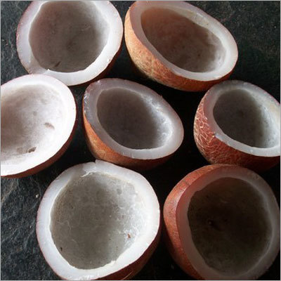 Dried Half Cut Copra