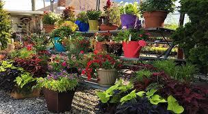 Nursery Garden