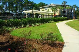Landscapes Designing Maintenance