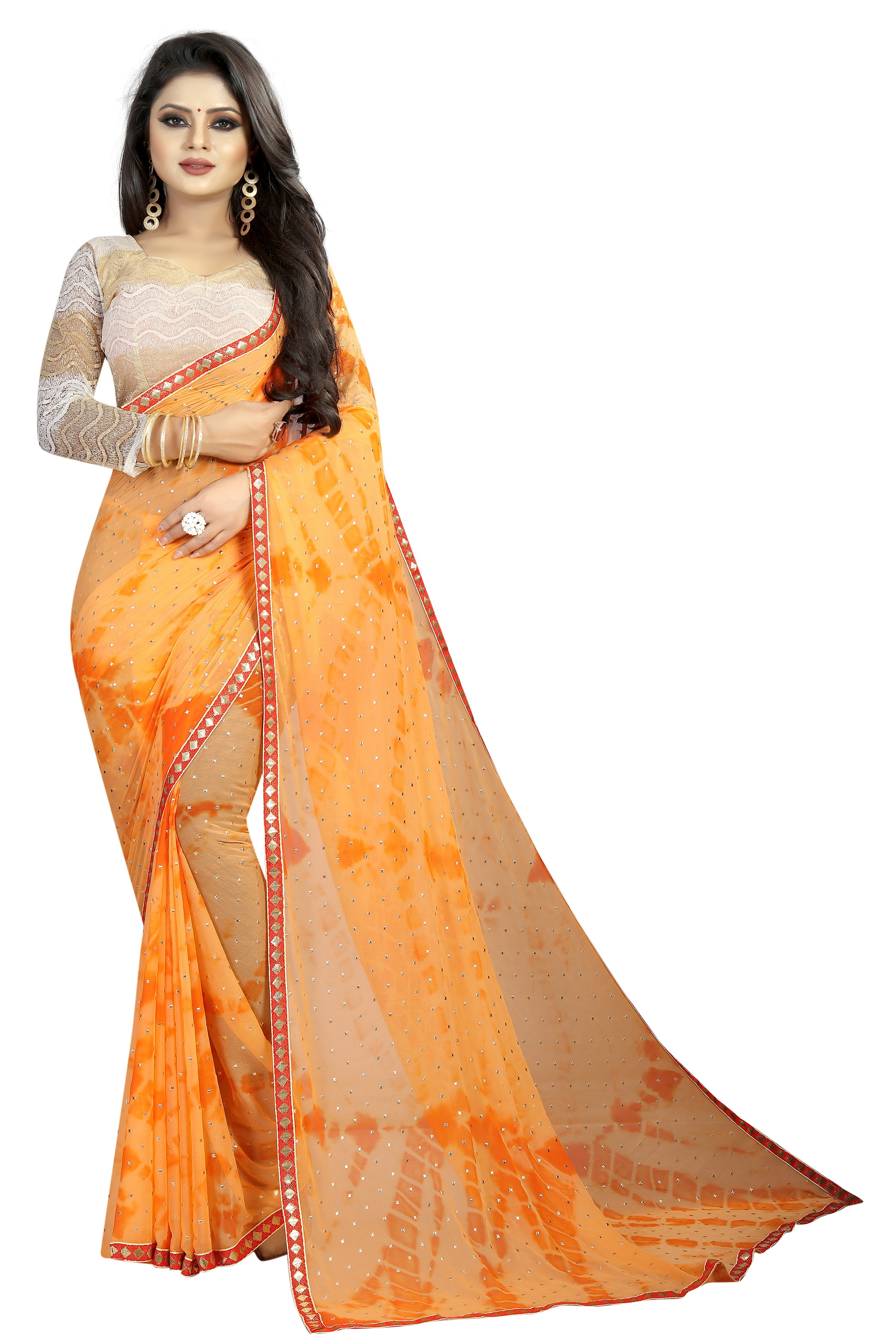 Bindu Chiffon Silk Saree