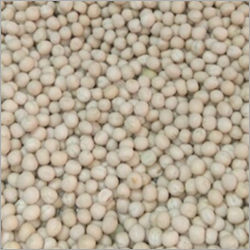 Common White Pea Beans