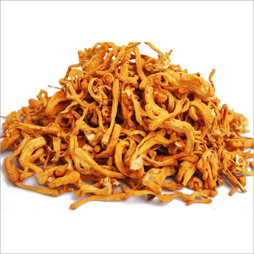 Fresh Dried and Cordyceps Militaris