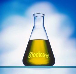 Industrial Biodiesel Oil Grade: Technical Grade