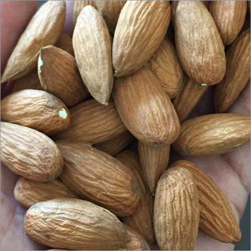 Almond Seeds