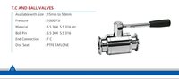 SS Valves