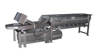 Fruit Washer Cyclonic