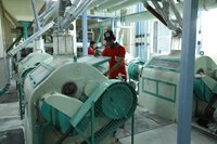 Maida Flour Plant