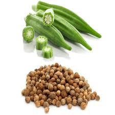 Ledy Finger Seeds Ledy Finger Seeds
