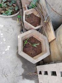 Concrete Flower Pot