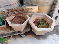 Flower Pots
