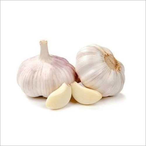 Fresh Garlic By MANALI CONSTRUCTION