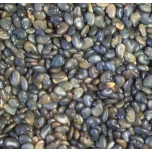 Organic Sunhemp