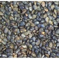 Organic Sunhemp - Admixture (%): None