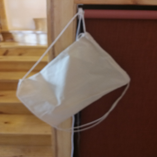White Canvas Backpack