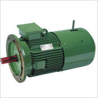 Crane Duty Motor