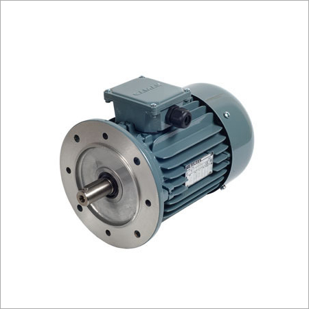 Dual Speed Motor