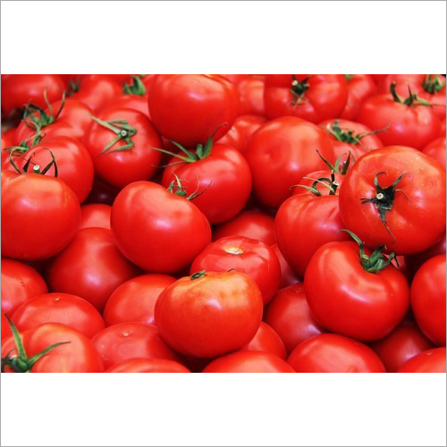 Fresh Tomato - Raw, Round Shape, 23% Moisture | Nutrient-Dense Superfood for Heart Health, Weight Loss, and Glowing Skin