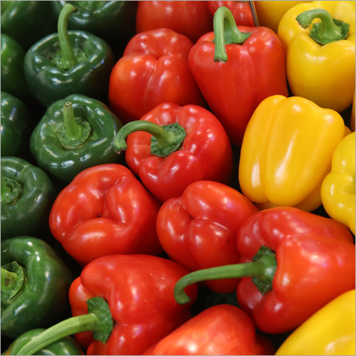 Fresh Capsicum Moisture (%): 10%
