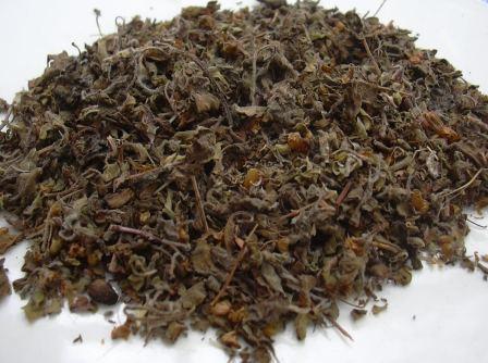 Tulsi - Steamed Raw Herb | Shelf Life: 3 Years, Stem Length: 22 Millimeter, Quality Assured from Age-Old Reliable Herb Collectors