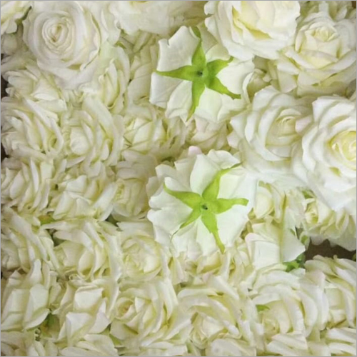 Artificial White Rose