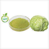 Spray Dried Cabbage Powder