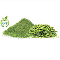Spray Dried Green Chilli Powder