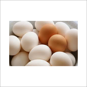 Eggs Egg Weight: Generic Grams (G)