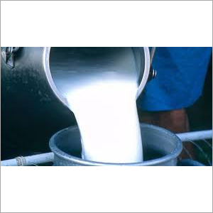 Butter Milk Powder