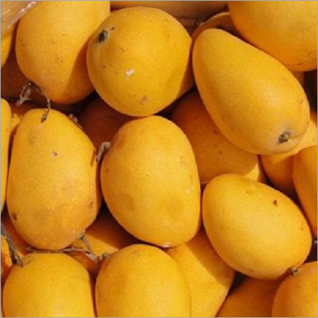 Badami Mango