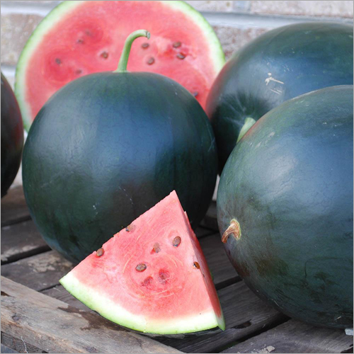 Watermelon Fruit
