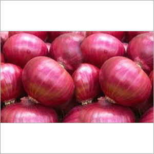 Fresh Red Onions