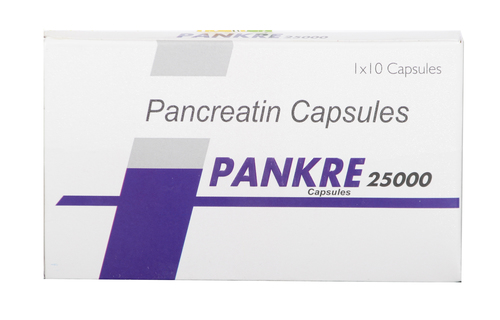 Pancreatin Capsules