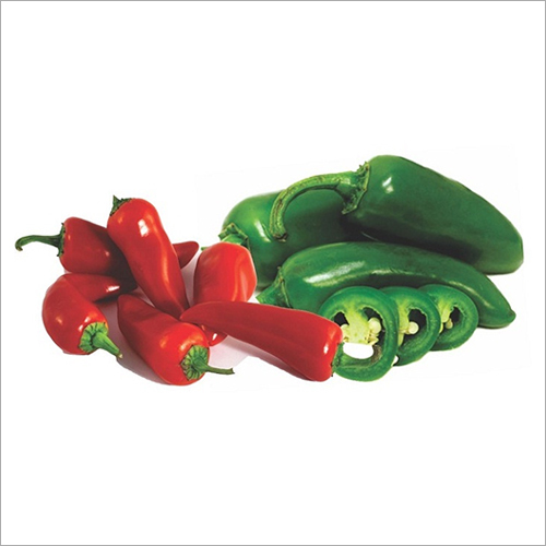 Fresh Jalapeno Pepper