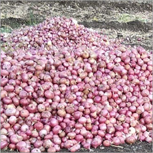 Natural Onion