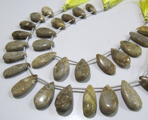 Natural Fossil Coral Pear Shape Plain Smooth Briolette beads