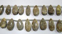 Natural Fossil Coral Pear Shape Plain Smooth Briolette beads