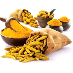 Fresh Turmeric Powder