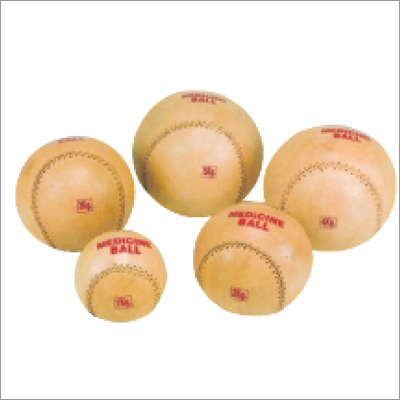 Physiotherapy Medicine Exercise Ball