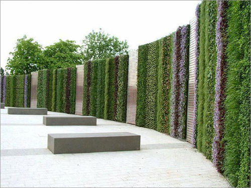 Vertical Garden