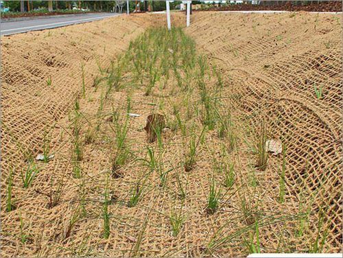 Erosion Control Coir Mat