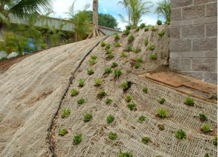 Jute Mesh Netting