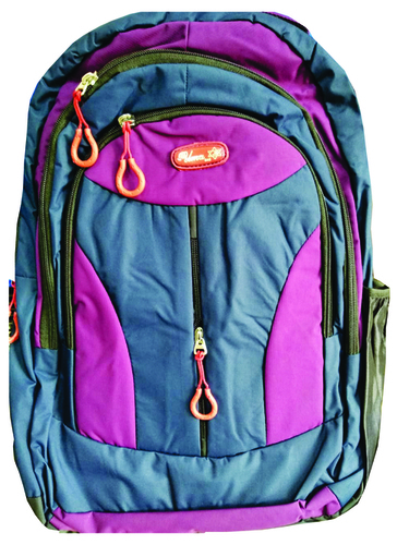 Pink And Blue Regular School Bag