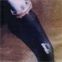 Wire Discharge Rubber Hose