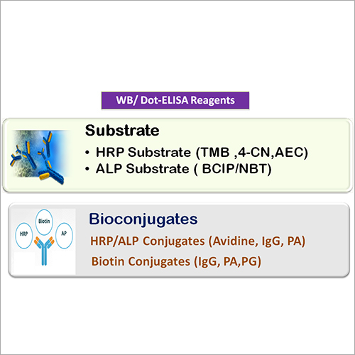 WB Dot Elisa Reagent