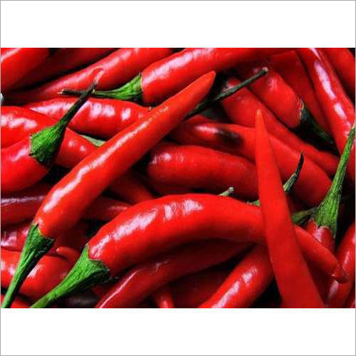 Red Chilli Red Chilli