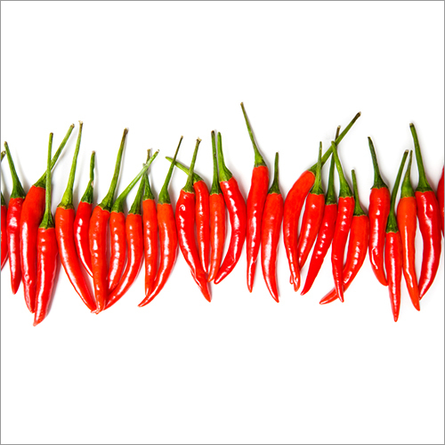 Red Chilli Red Chilli
