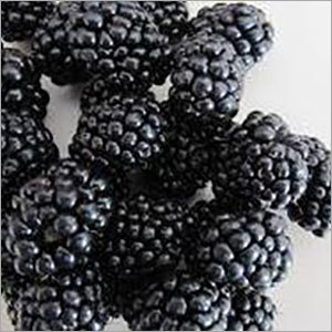 Blackberry