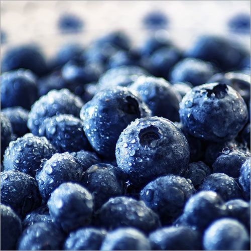 Frozen Blueberry